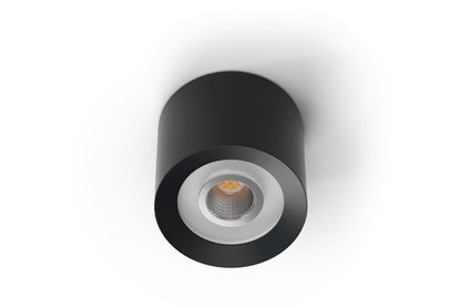 LED Ceiling Spot RGBW Tree Anthracite