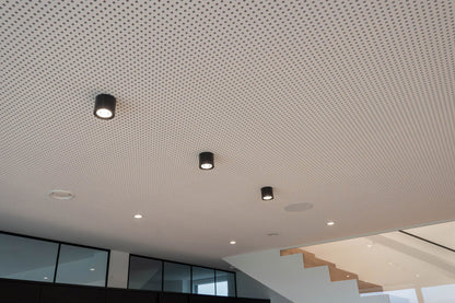 LED Ceiling Spot RGBW Tree Anthracite