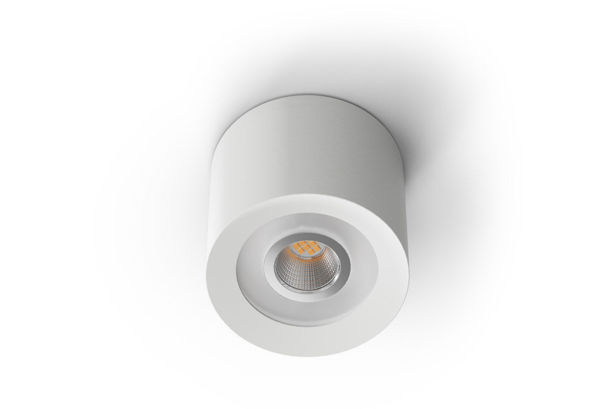 LED Ceiling Spot RGBW Tree White