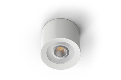 LED Ceiling Spot RGBW Tree White