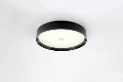 LED Ceiling Light RGBW Tree Anthracite
