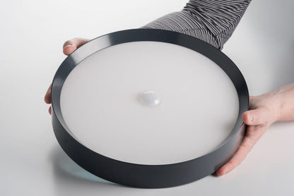 LED Ceiling Light RGBW Tree Anthracite