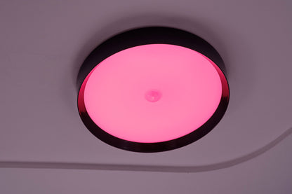 LED Ceiling Light RGBW Tree Anthracite
