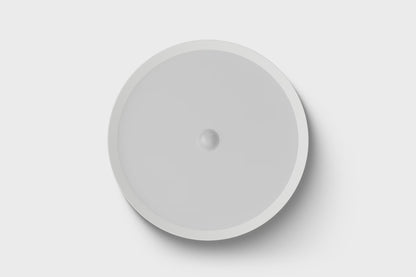 LED Ceiling Light RGBW Tree White