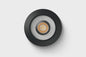 LED Spot RGBW Tree Anthracite
