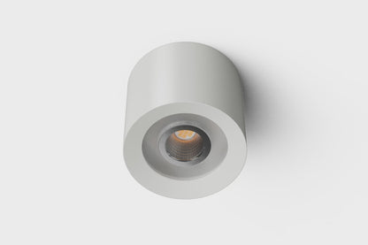 LED Ceiling Spotlight WW PMW White