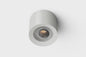 LED Ceiling Spotlight WW PMW White