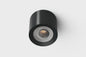 LED Ceiling Spot RGBW Tree Anthracite