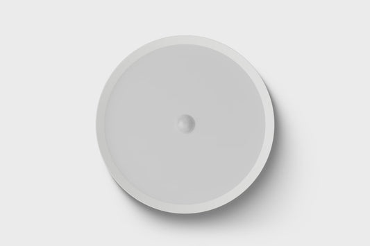 LED Ceiling Light RGBW Air White