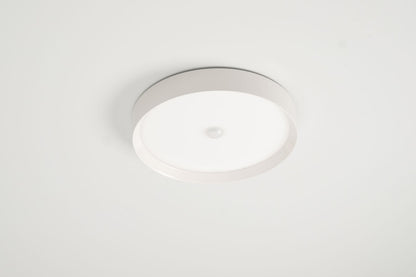 LED Ceiling Light RGBW Tree White